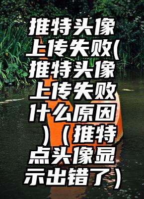 推特头像上传失败(推特头像上传失败什么原因 )（推特点头像显示出错了）