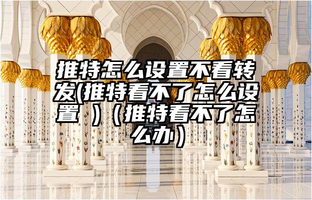 推特怎么设置不看转发(推特看不了怎么设置 )（推特看不了怎么办）