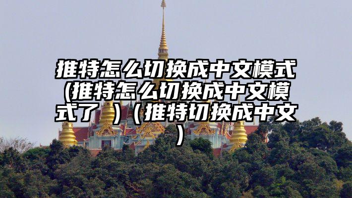 推特怎么切换成中文模式(推特怎么切换成中文模式了 )（推特切换成中文）