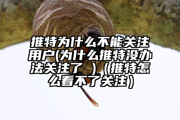 推特为什么不能关注用户(为什么推特没办法关注了 )（推特怎么看不了关注）