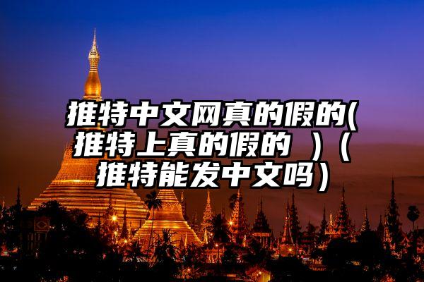 推特中文网真的假的(推特上真的假的 )（推特能发中文吗）