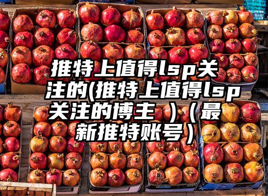 推特上值得lsp关注的(推特上值得lsp关注的博主 )(最新推特账号)