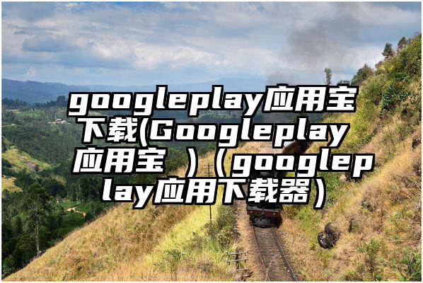 googleplay应用宝下载(Googleplay应用宝 )（googleplay应用下载器）