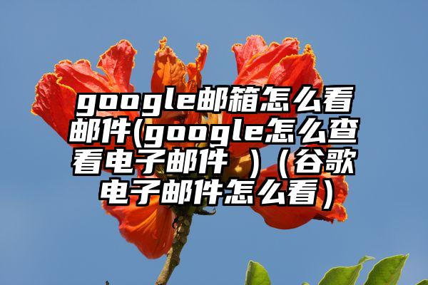 google邮箱怎么看邮件(google怎么查看电子邮件 )（谷歌电子邮件怎么看）