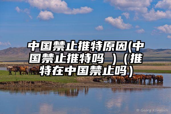 中国禁止推特原因(中国禁止推特吗 )（推特在中国禁止吗）