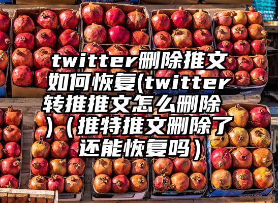 twitter删除推文如何恢复(twitter转推推文怎么删除 )（推特推文删除了还能恢复吗）
