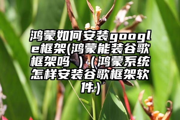 鸿蒙如何安装google框架(鸿蒙能装谷歌框架吗 )（鸿蒙系统怎样安装谷歌框架软件）