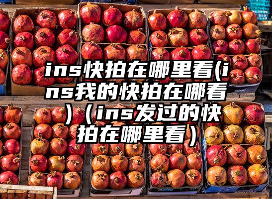 ins快拍在哪里看(ins我的快拍在哪看 )（ins发过的快拍在哪里看）