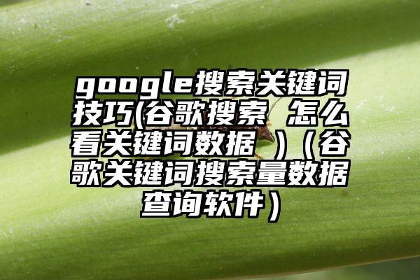 google搜索关键词技巧(谷歌搜索 怎么看关键词数据 )（谷歌关键词搜索量数据查询软件）