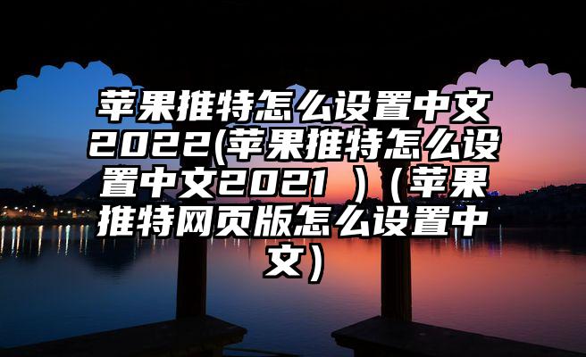 苹果推特怎么设置中文2022(苹果推特怎么设置中文2021 )（苹果推特网页版怎么设置中文）