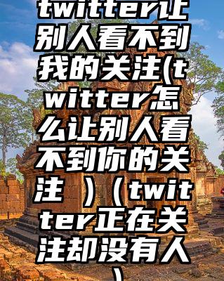 twitter让别人看不到我的关注(twitter怎么让别人看不到你的关注 )（twitter正在关注却没有人）