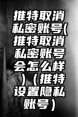 推特取消私密账号(推特取消私密账号会怎么样 )（推特设置隐私账号）