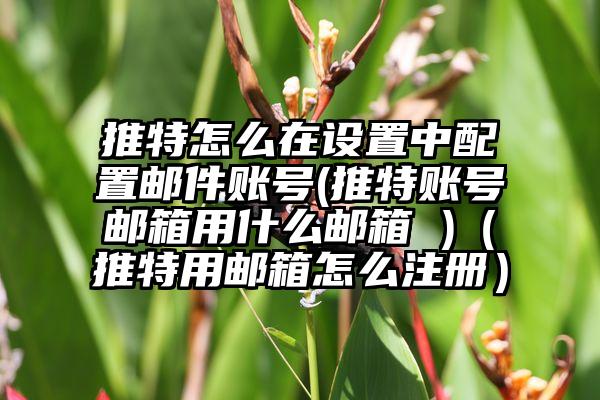 推特怎么在设置中配置邮件账号(推特账号邮箱用什么邮箱 )（推特用邮箱怎么注册）