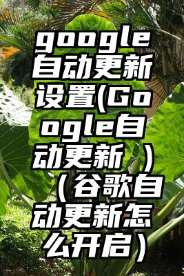 google自动更新设置(Google自动更新 )（谷歌自动更新怎么开启）
