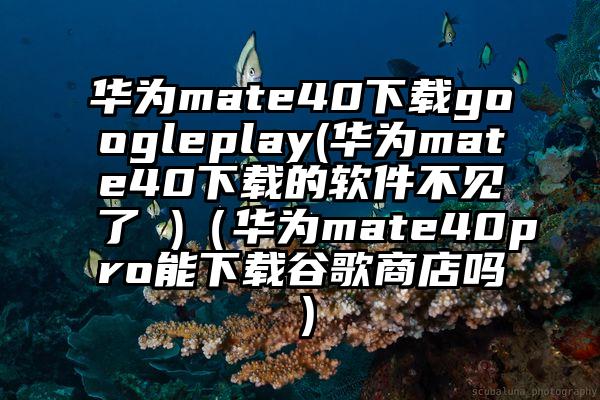 华为mate40下载googleplay(华为mate40下载的软件不见了 )（华为mate40pro能下载谷歌商店吗）