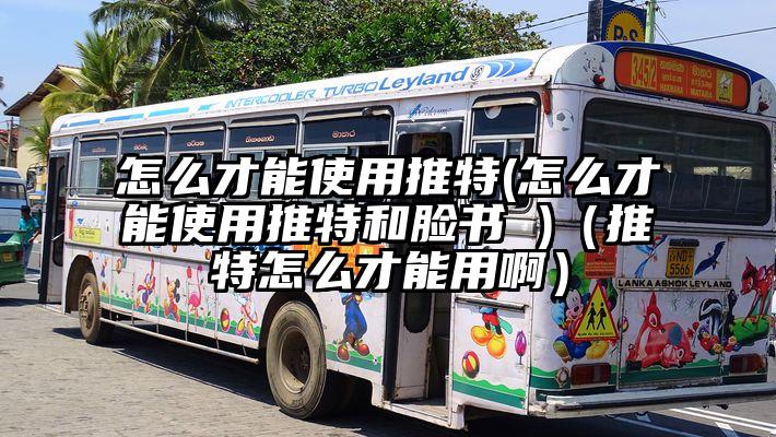 怎么才能使用推特(怎么才能使用推特和脸书 )（推特怎么才能用啊）