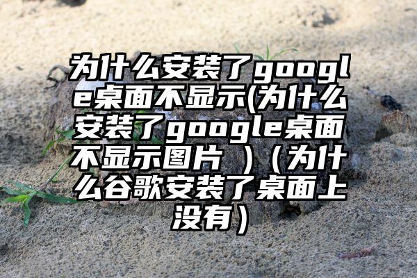 为什么安装了google桌面不显示(为什么安装了google桌面不显示图片 )（为什么谷歌安装了桌面上没有）