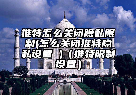 推特怎么关闭隐私限制(怎么关闭推特隐私设置 )（推特限制设置）