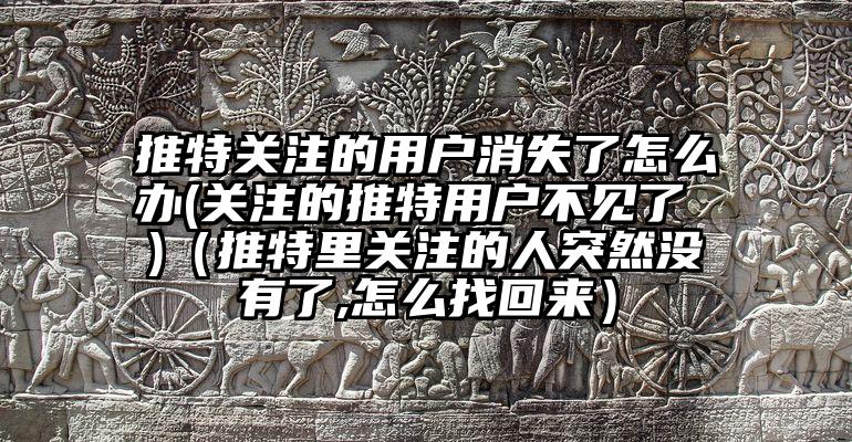 推特关注的用户消失了怎么办(关注的推特用户不见了 )（推特里关注的人突然没有了,怎么找回来）