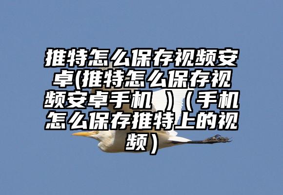 推特怎么保存视频安卓(推特怎么保存视频安卓手机 )（手机怎么保存推特上的视频）