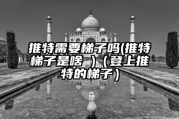 推特需要梯子吗(推特梯子是啥 )（登上推特的梯子）