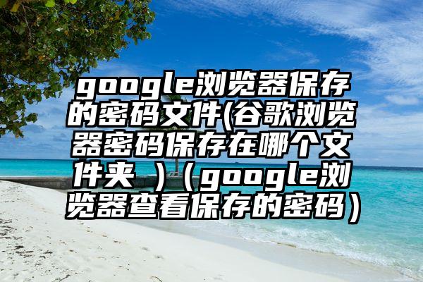 google浏览器保存的密码文件(谷歌浏览器密码保存在哪个文件夹 )（google浏览器查看保存的密码）