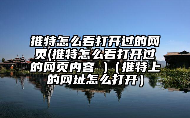 推特怎么看打开过的网页(推特怎么看打开过的网页内容 )（推特上的网址怎么打开）