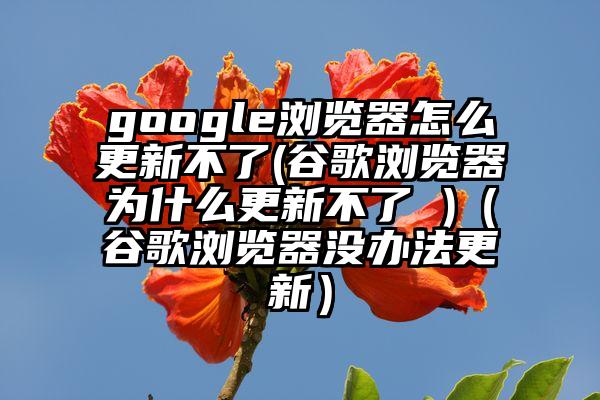 google浏览器怎么更新不了(谷歌浏览器为什么更新不了 )（谷歌浏览器没办法更新）