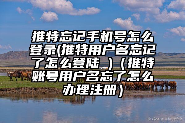 推特忘记手机号怎么登录(推特用户名忘记了怎么登陆 )（推特账号用户名忘了怎么办理注册）