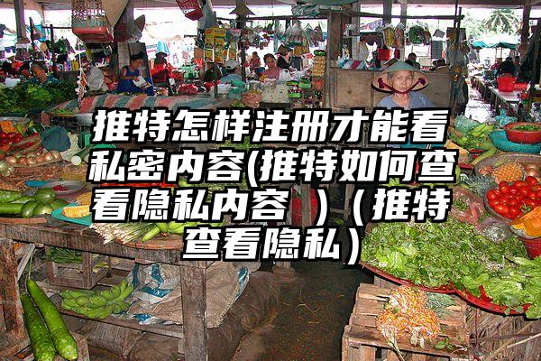 推特怎样注册才能看私密内容(推特如何查看隐私内容 )（推特查看隐私）