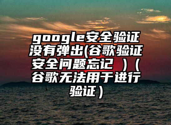 google安全验证没有弹出(谷歌验证安全问题忘记 )（谷歌无法用于进行验证）