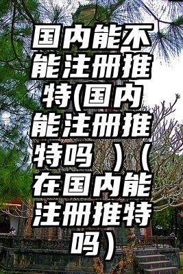 国内能不能注册推特(国内能注册推特吗 )（在国内能注册推特吗）