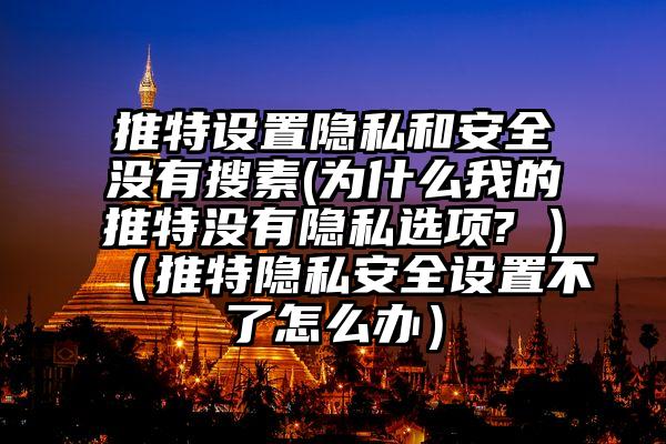 推特设置隐私和安全没有搜素(为什么我的推特没有隐私选项? )（推特隐私安全设置不了怎么办）