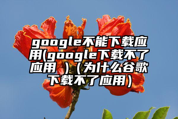google不能下载应用(google下载不了应用 )（为什么谷歌下载不了应用）