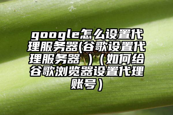 google怎么设置代理服务器(谷歌设置代理服务器 )（如何给谷歌浏览器设置代理账号）