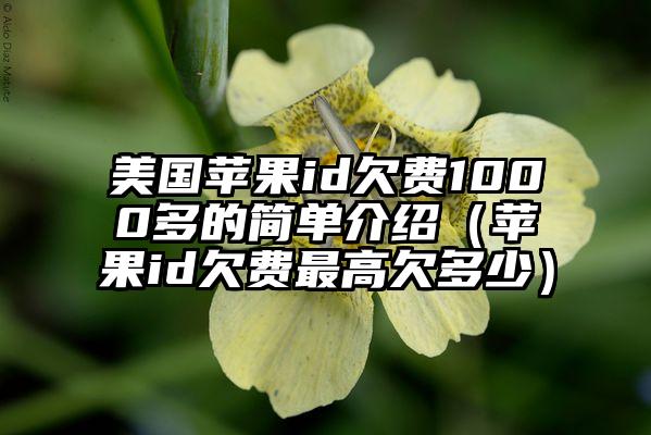 美国苹果id欠费1000多的简单介绍（苹果id欠费最高欠多少）