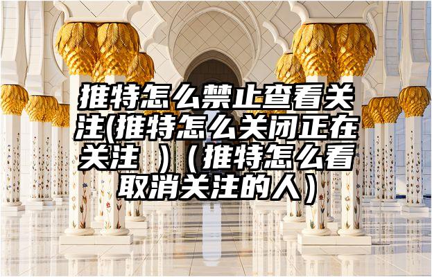 推特怎么禁止查看关注(推特怎么关闭正在关注 )（推特怎么看取消关注的人）