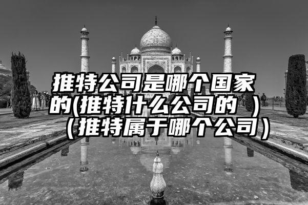 推特公司是哪个国家的(推特什么公司的 )（推特属于哪个公司）