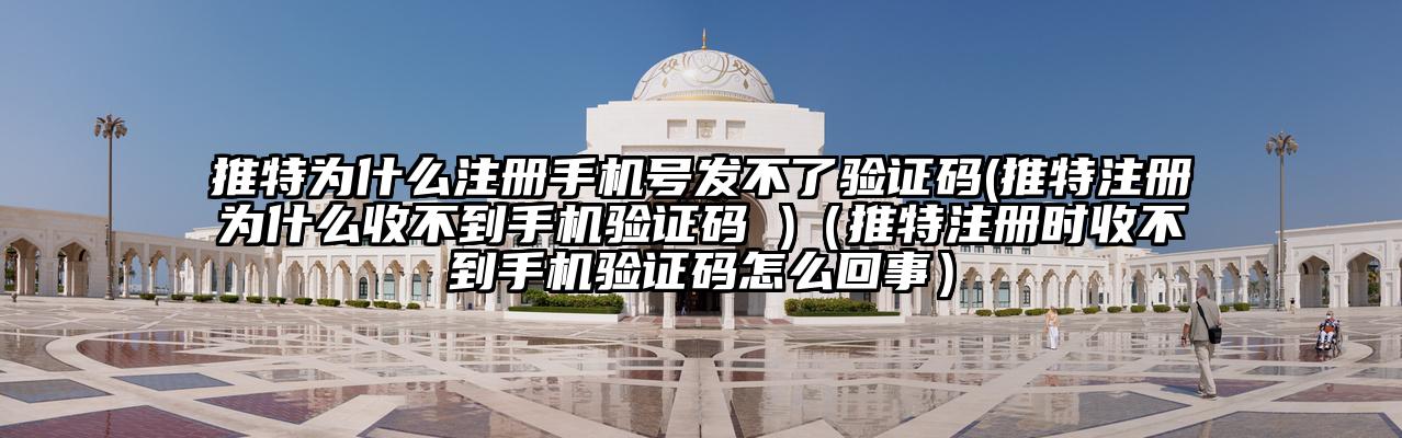 推特为什么注册手机号发不了验证码(推特注册为什么收不到手机验证码 )（推特注册时收不到手机验证码怎么回事）