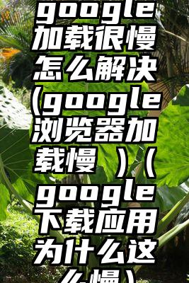google加载很慢怎么解决(google浏览器加载慢 )（google下载应用为什么这么慢）