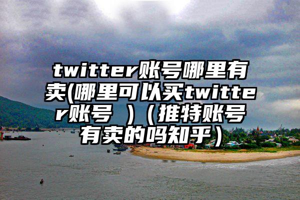 twitter账号哪里有卖(哪里可以买twitter账号 )（推特账号有卖的吗知乎）