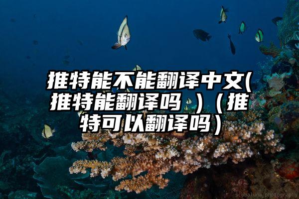 推特能不能翻译中文(推特能翻译吗 )（推特可以翻译吗）