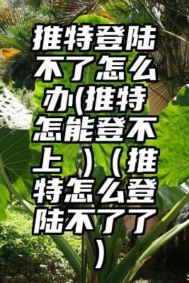推特登陆不了怎么办(推特怎能登不上 )（推特怎么登陆不了了）