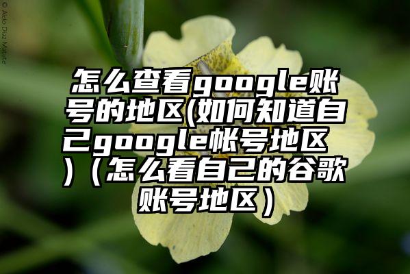 怎么查看google账号的地区(如何知道自己google帐号地区 )（怎么看自己的谷歌账号地区）