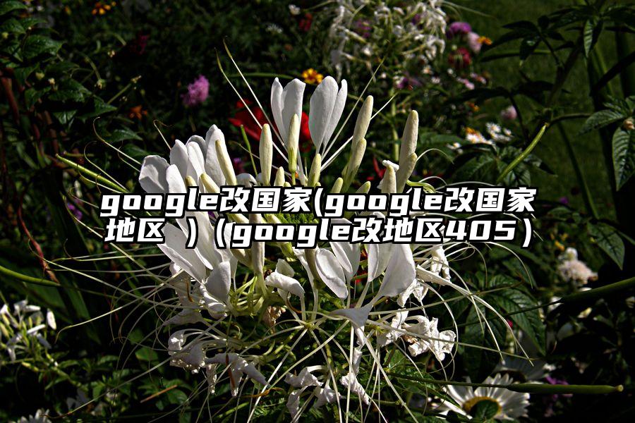google改国家(google改国家地区 )（google改地区405）