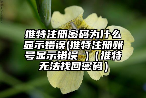 推特注册密码为什么显示错误(推特注册账号显示错误 )（推特无法找回密码）