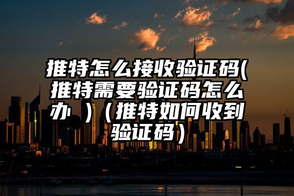 推特怎么接收验证码(推特需要验证码怎么办 )（推特如何收到验证码）