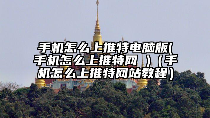 手机怎么上推特电脑版(手机怎么上推特网 )（手机怎么上推特网站教程）