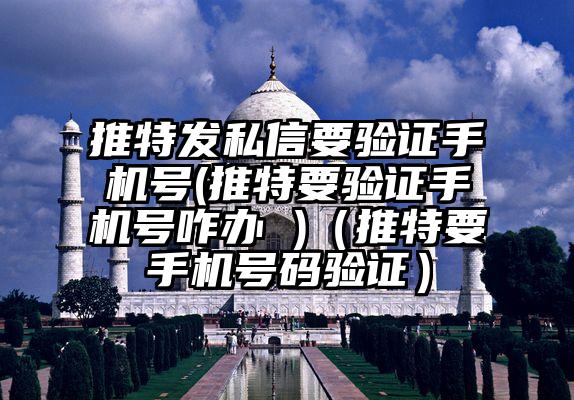 推特发私信要验证手机号(推特要验证手机号咋办 )(推特要手机号码验证)