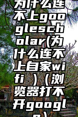 为什么连不上googlescholar(为什么连不上自家wifi )（浏览器打不开google）
